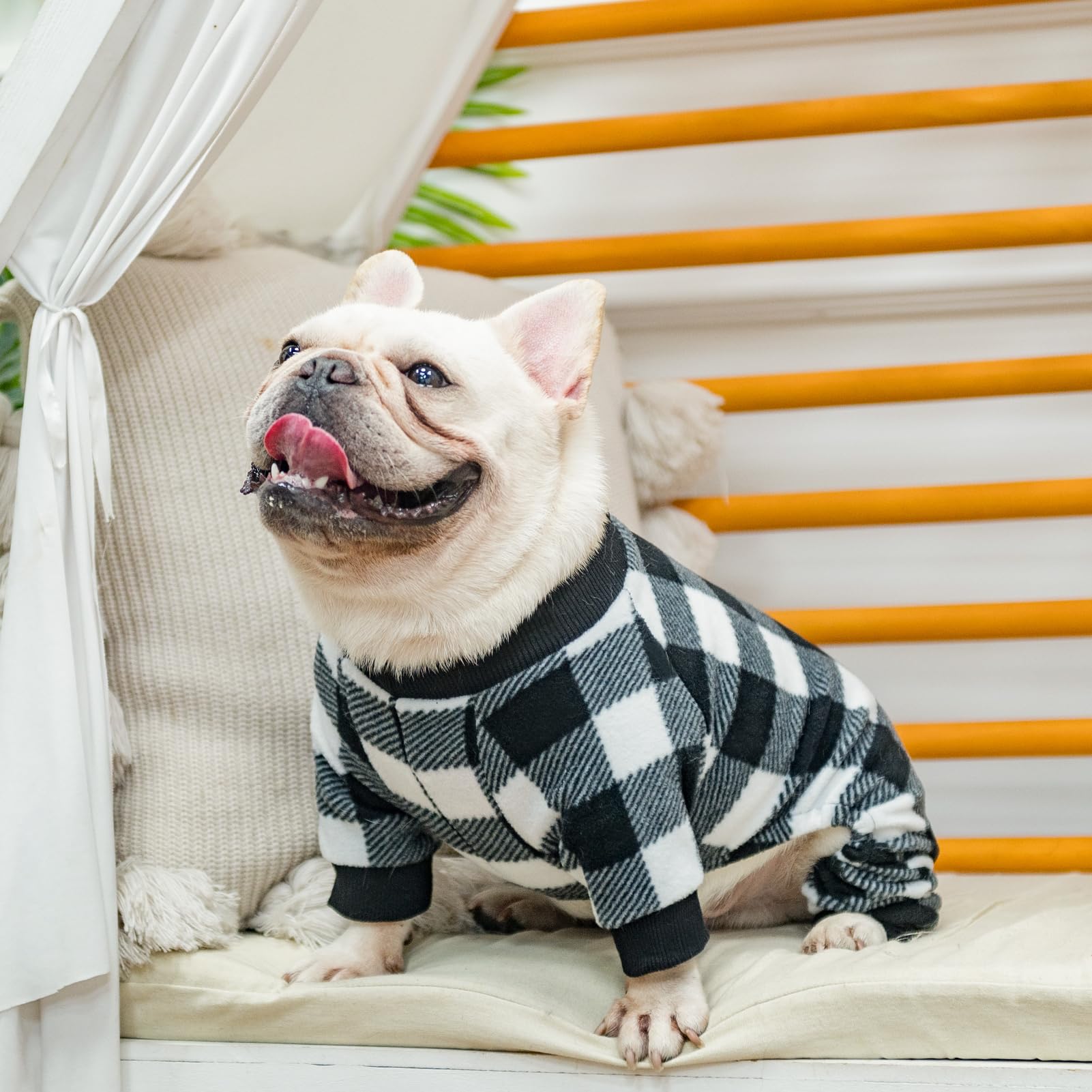 SCENEREAL Dog Pajamas for Small to Large Dogs - Soft & Warm Pet Sweater Onesie Outfits for Winter & Christmas - Cozy Puppy Jammies Pjs - Perfect for Indoor Lounging, Holiday Photos & Cold Weather Comfort