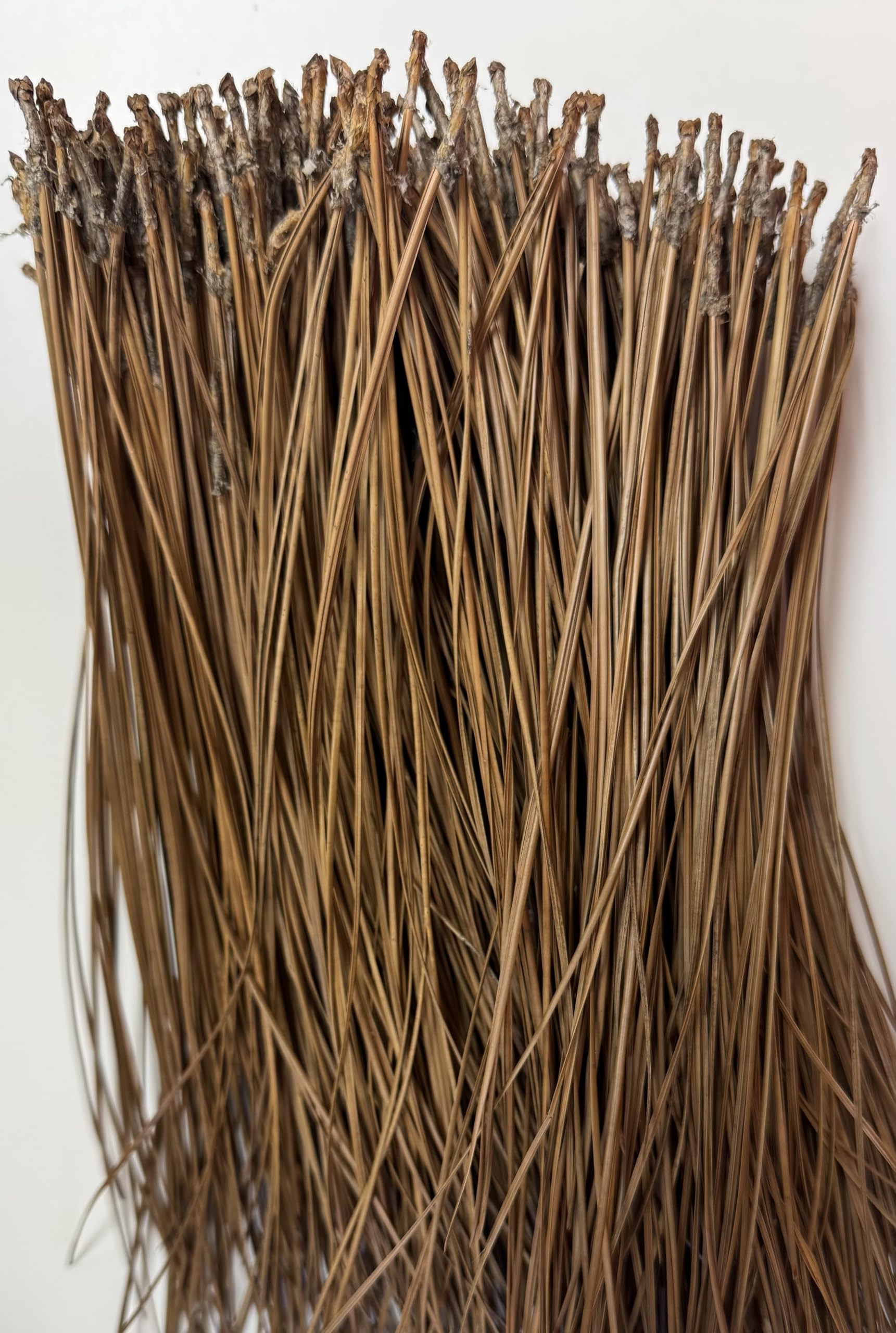 Long Leaf Pine Needles for DIY Crafts - 10oz Natural Dried Pine Needles for Wreaths, Baskets & Potpourri - Perfect for Rustic Home Decor & Seasonal Projects