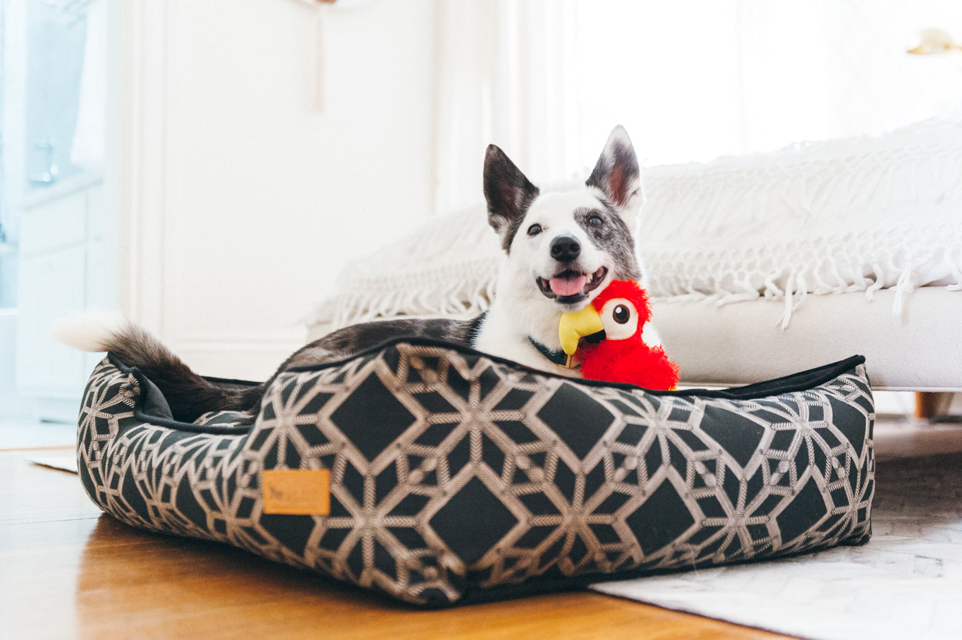 Premium Lounge Dog Bed - Solstice Stormy Night Design - Orthopedic Comfort for Small, Medium & Large Dogs - Perfect for Living Room, Bedroom or Pet Nursery