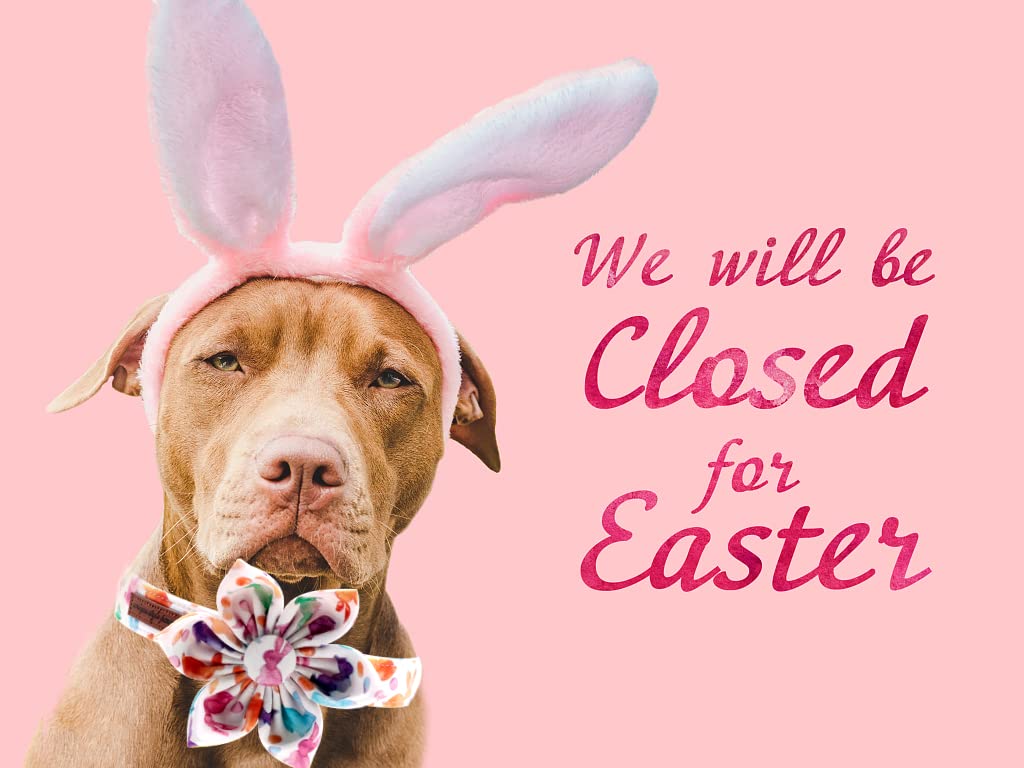 Easter Dog Collar with Flower Design - Adjustable Pet Collar for Small Medium Large Dogs | Unique Paws Style for Girl Puppies | Perfect for Spring Walks, Easter Photos & Special Occasions