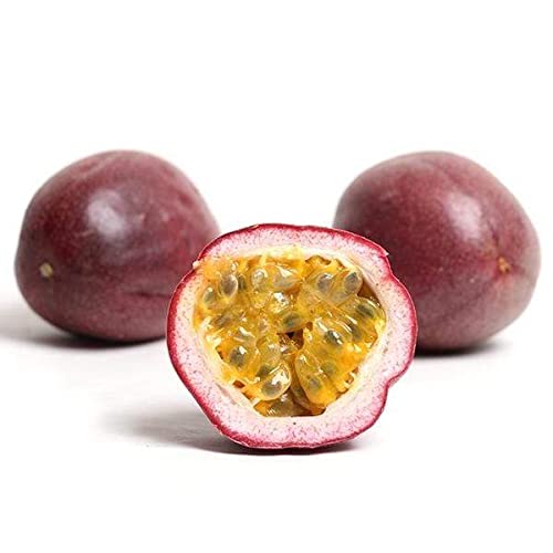 Pure Maracuja Passion Fruit Seed Oil - 16 oz Cold Pressed Virgin Carrier Oil for Face, Skin, Lips, Hair & Body | Natural Moisturizer for DIY Skincare, Soaps & Creams | Perfect for Dry Skin Care & Anti-Aging Routine