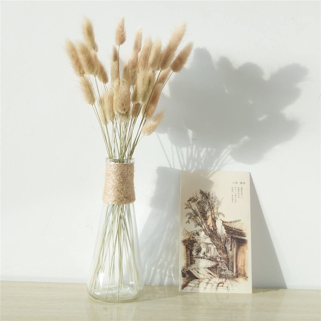 60/30Pcs Natural Dried Pampas Grass Bouquet - Real Rabbit Tail Grass for Wedding, Easter & Home Decor - Perfect for Centerpieces, Wall Arrangements & Boho Styling