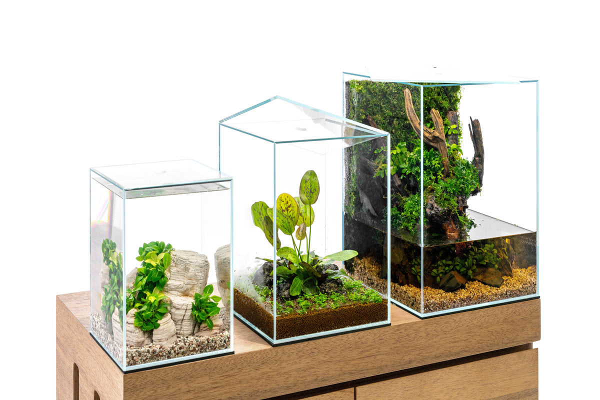 UNS Prism Glass Aquarium Tank with Flush Lid - Perfect for Home, Office & Nano Fish Breeding