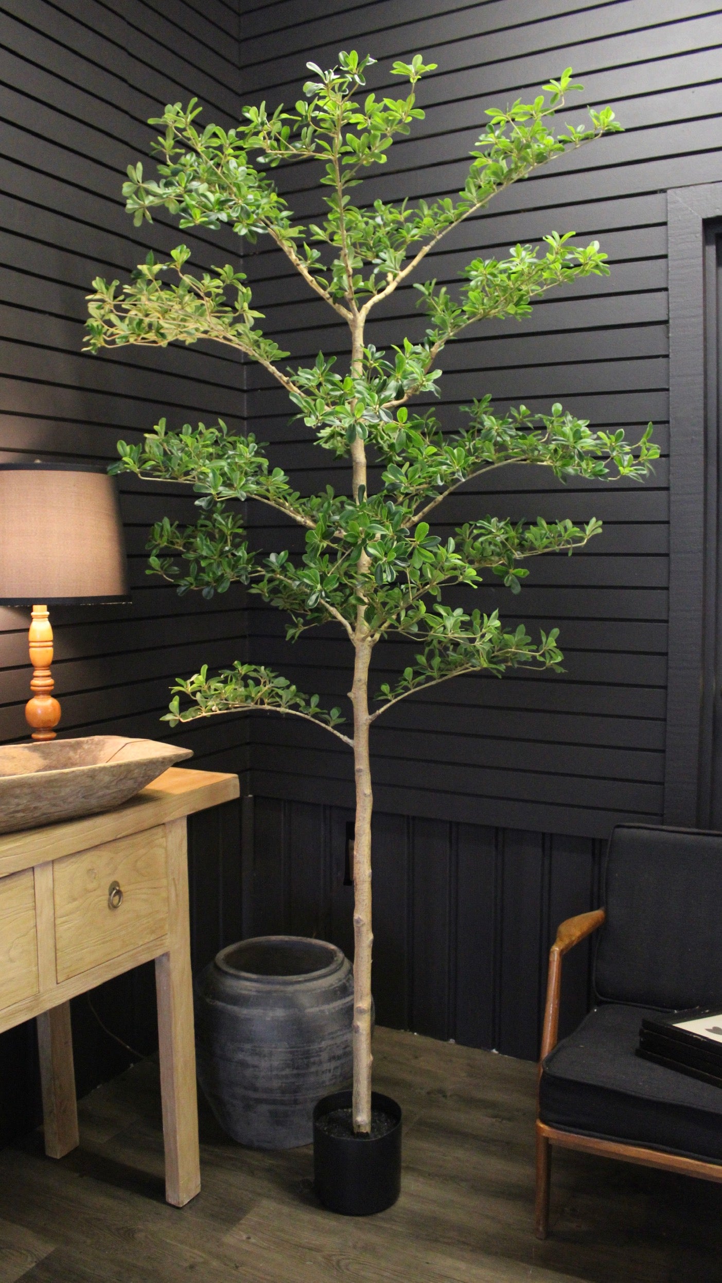 7' Black Olive Tree (Shady Lady) - Large Artificial Olive Tree for Home Decor, Office, or Outdoor Landscaping - Perfect for Living Room, Patio, or Garden
