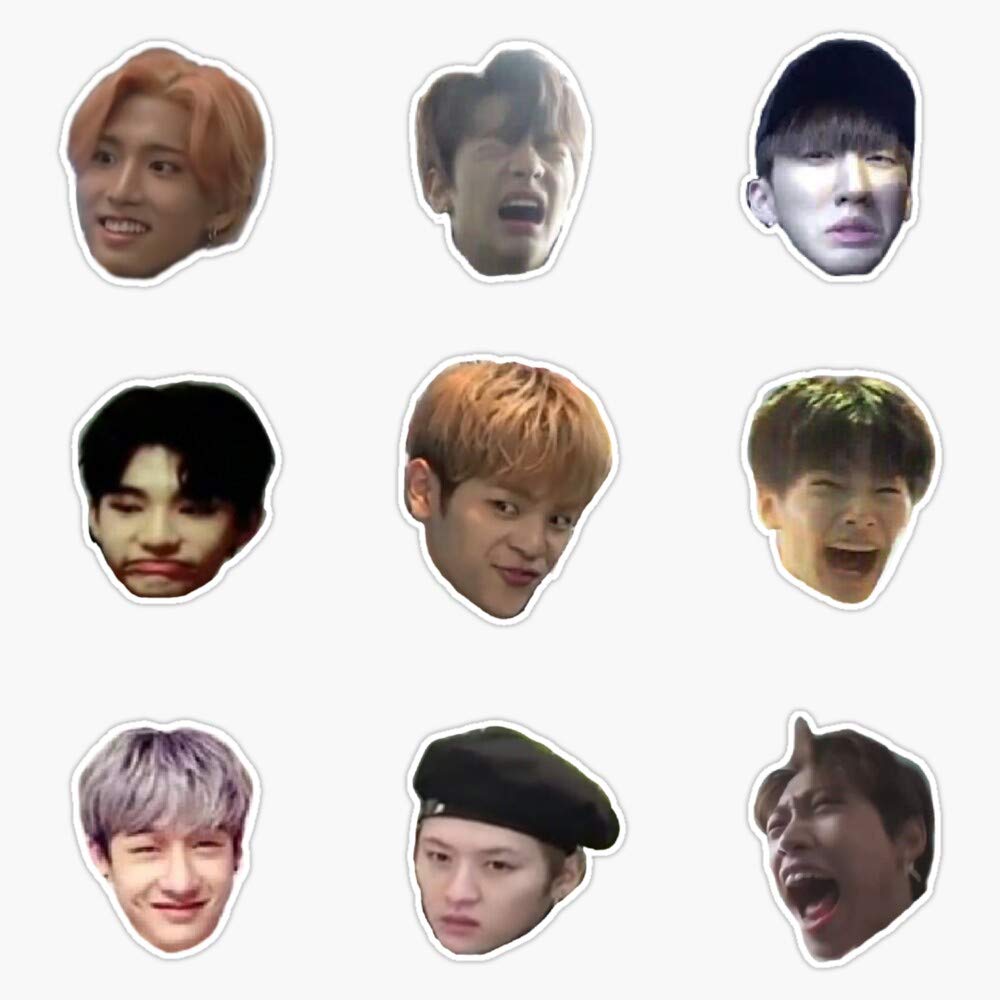 Stray Kids Memes Sticker - Waterproof Vinyl Bumper Decal (5 Inch) - Perfect for Laptops, Cars & Water Bottles