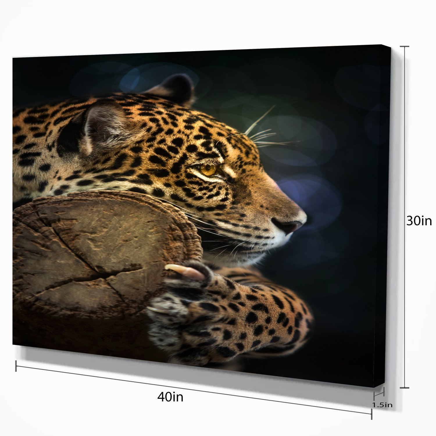 Stunning Jaguar Wildlife Photography Wall Art - Perfect for Home Decor, Office & Living Room