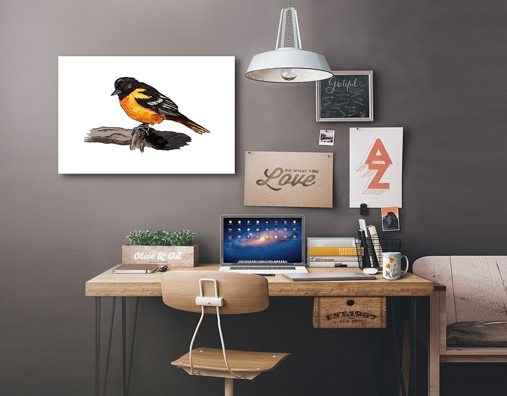 Lantern Press Oriole Bird Wall Art - 12x18 Wrapped Canvas Print, Nature Home Decor for Living Room, Bedroom & Office