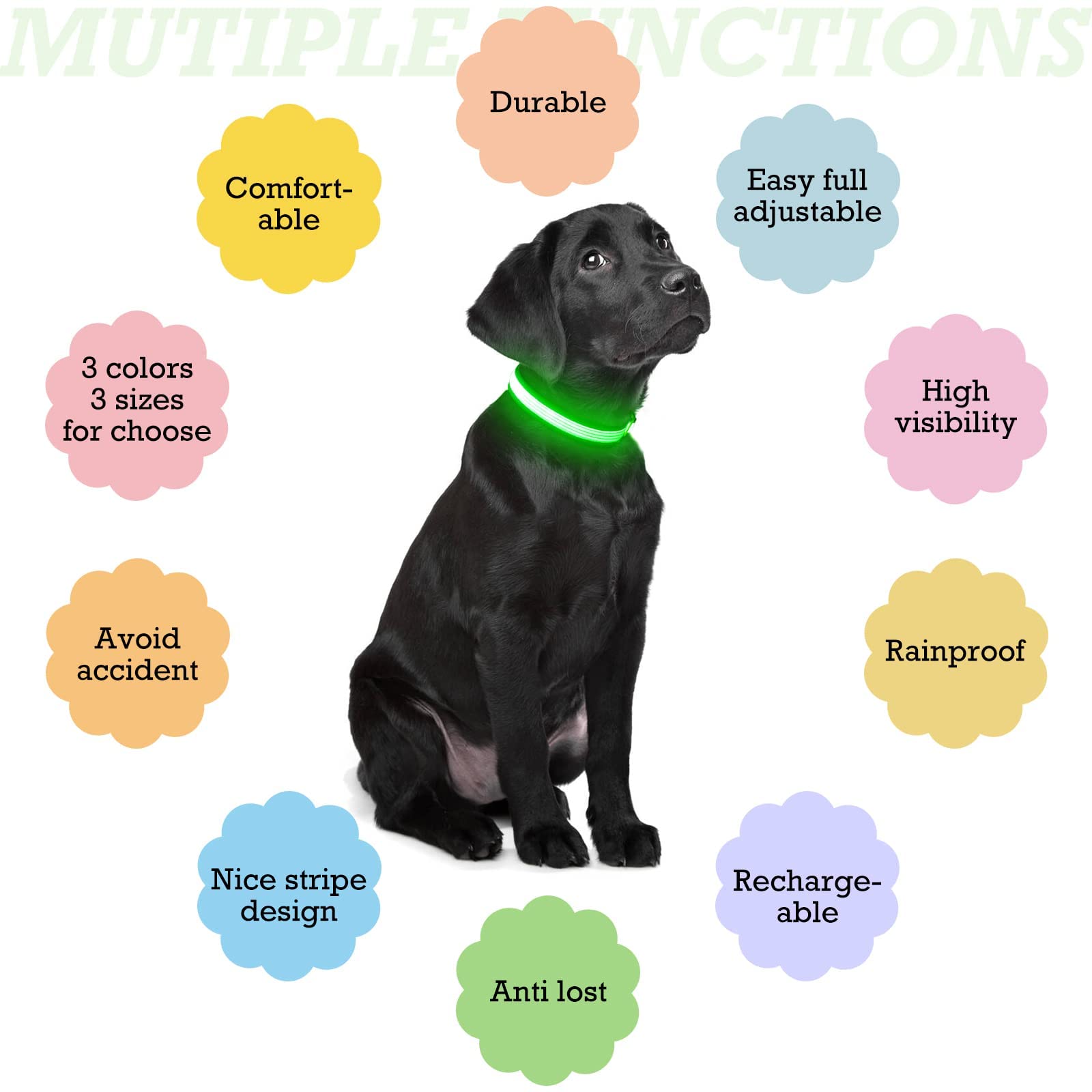 YFbrite Adjustable LED Dog Collar with Reflective Strip - Glow in The Dark Safety Collar for Small Dogs (Green) - Perfect for Night Walks, Jogging & Outdoor Adventures