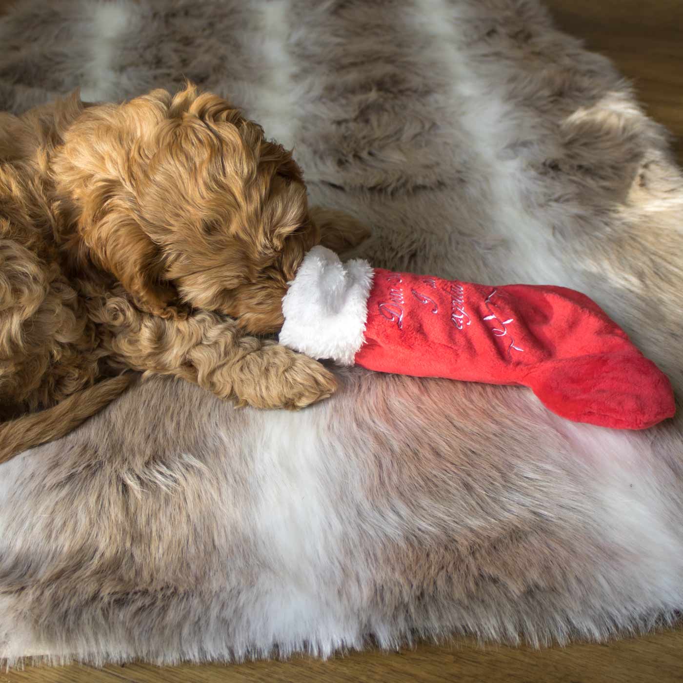 P.L.A.Y. Merry Woofmas Christmas Dog Stocking for Pets - Festive Holiday Pet Gift for Dogs, Puppies & Good Boys - Perfect for Christmas Decorations & Pet Stocking Stuffers