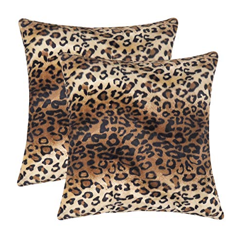 Set of 2, 18x18 Inch