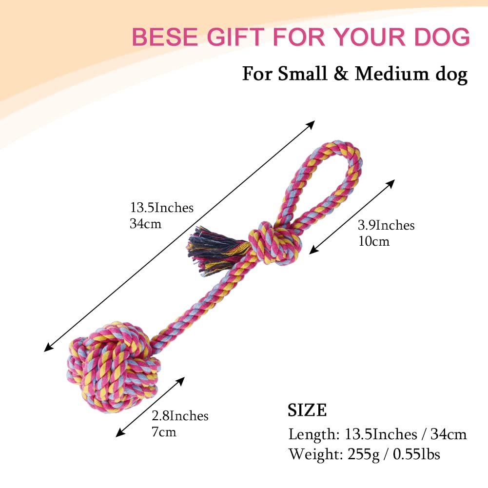 Durable Dog Rope Toys - Pack of 2 Interactive Braided Cotton Chew Toys for Teeth Cleaning & Dental Health | Perfect for Playtime, Training & Puppy Teething Relief
