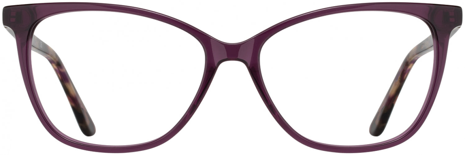 1 - Plum / Plum Tortoise