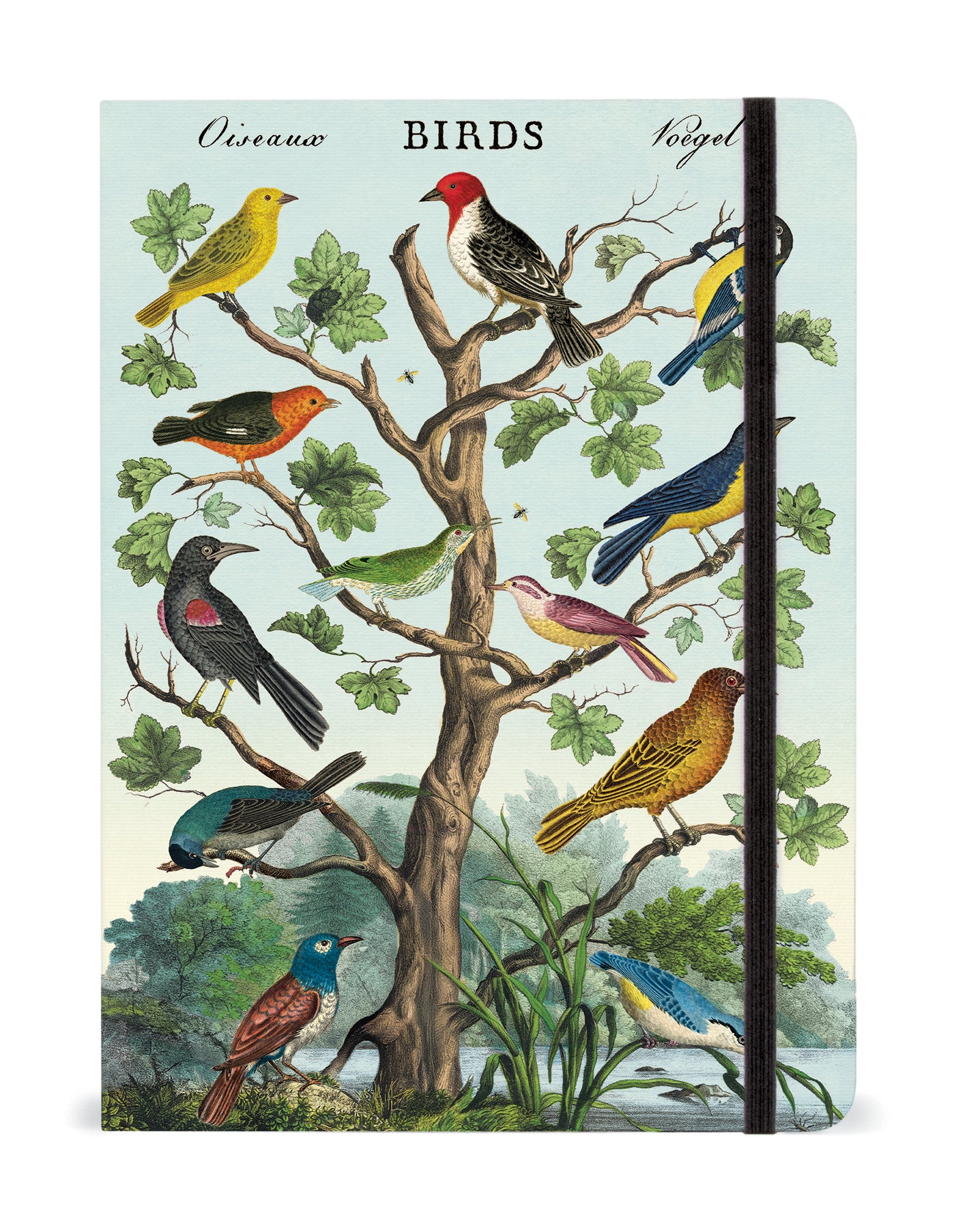 Birds Notebook - Lined Journal for Bird Watching & Nature Lovers - Perfect for Field Notes, Birding Journal, and Outdoor Adventures