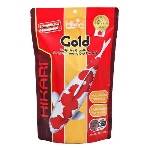 Hikari Koi Gold Floating Pellet Fish Food - Premium Floating Pellets for Koi, Goldfish & Pond Fish - Ideal for Outdoor Ponds, Water Gardens & Aquariums