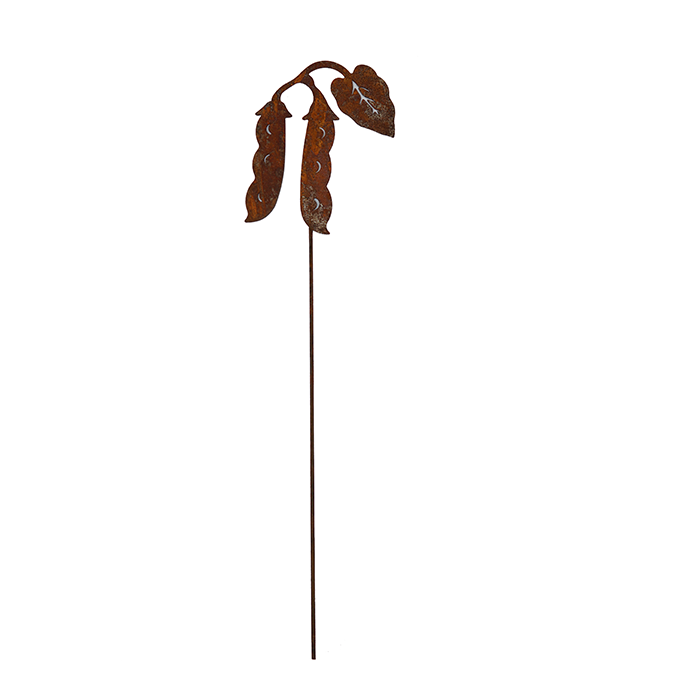 W4944 Rusted Garden Stakes - Hyacinth Bean Picks for Outdoor Decor, Vine Support & Rustic Garden Design