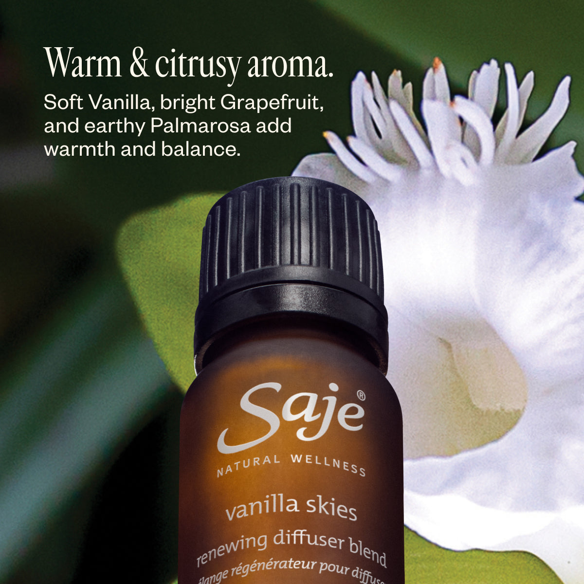 Aroma Horizon Vanilla Skies Essential Oil Diffuser Bundle - Relaxing Home & Office Aromatherapy for Stress Relief & Better Sleep