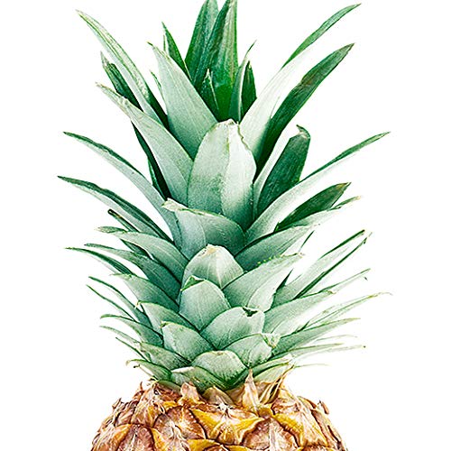 Pineapple Top
