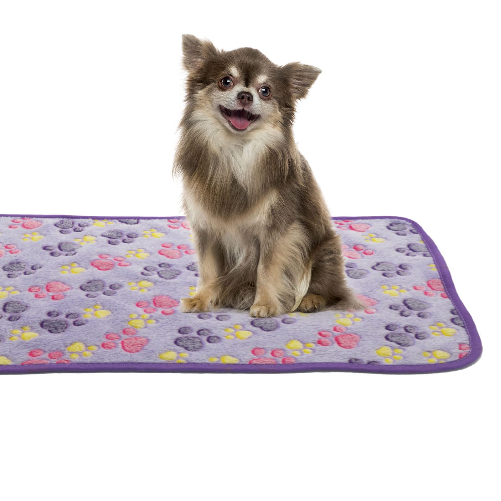 6 Pack Soft Flannel Pet Blankets for Small Dogs & Cats - Super Warm Paw Print Fleece Throw, 29