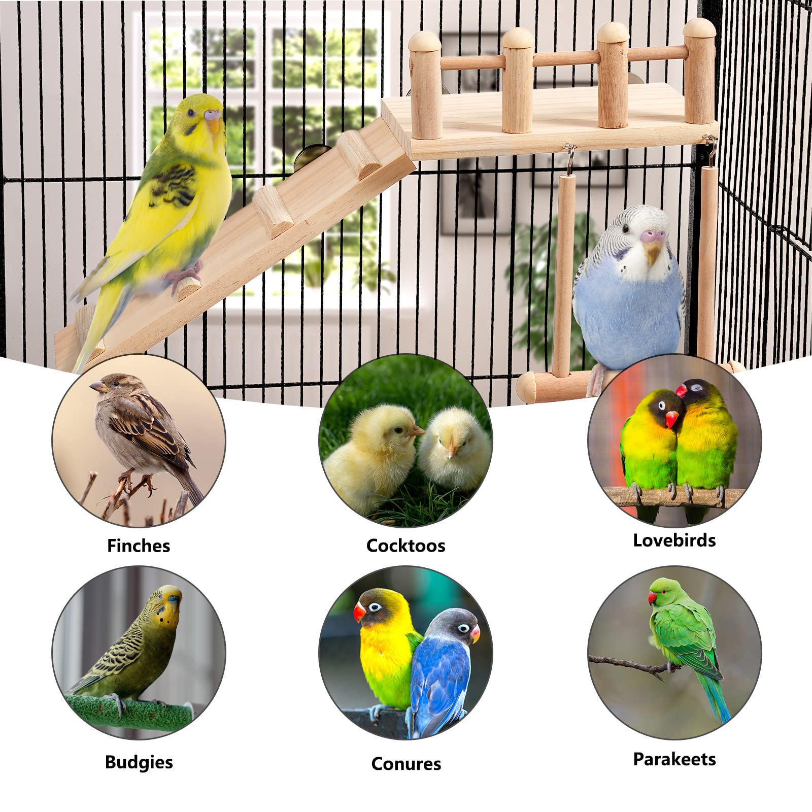 Wooden Bird Perches Platform Swing with Climbing Ladder - Sturdy Parakeet Cage Accessories & Small Bird Play Gyms for Exercise | Perfect for Cockatiels, Lovebirds & Finches in Aviaries or Home Cages