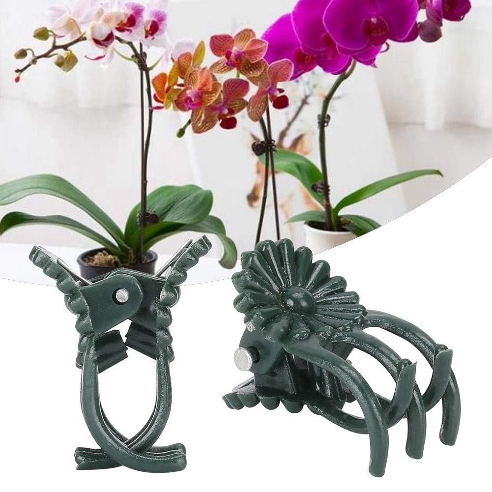 200Pcs Green Flower Shaped Plant Clips - Orchid Support Clips for Stems & Vines, Garden Plant Fixing Clips for Orchids, Roses, Tomatoes | Perfect for Indoor/Outdoor Gardening, Greenhouse & Vertical Planting