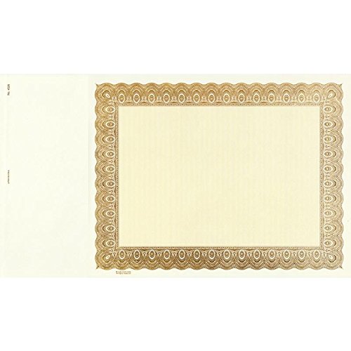 Goes 4526 Printable Blank Stock Certificate - Pack of 100 | Professional Business & Legal Documents for Corporate Shares, LLC, Startup Companies | Perfect for Stock Issuance, Company Records & Financial Transactions