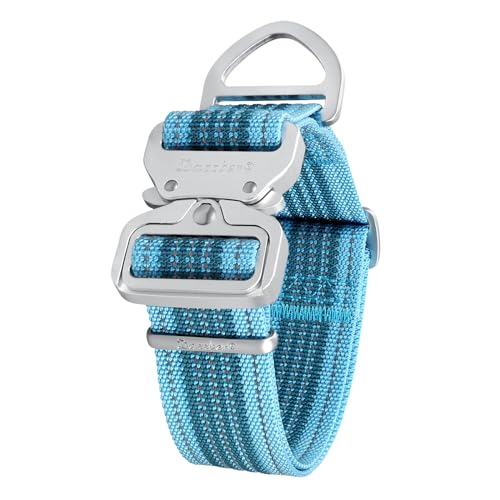 Baby Blue & Reflective
