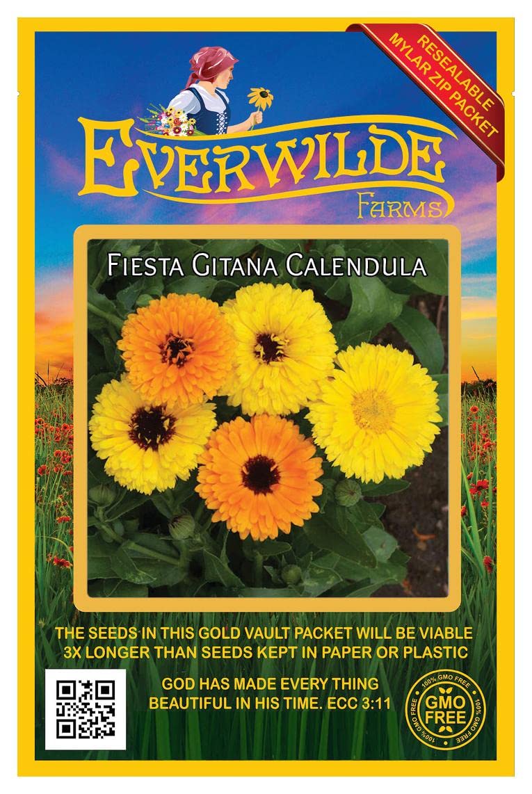 Everwilde Farms - 500 Fiesta Gitana Calendula Wildflower Seeds - Gold Vault Jumbo Seed Packet for Garden Planting, Landscaping & Pollinator Gardens
