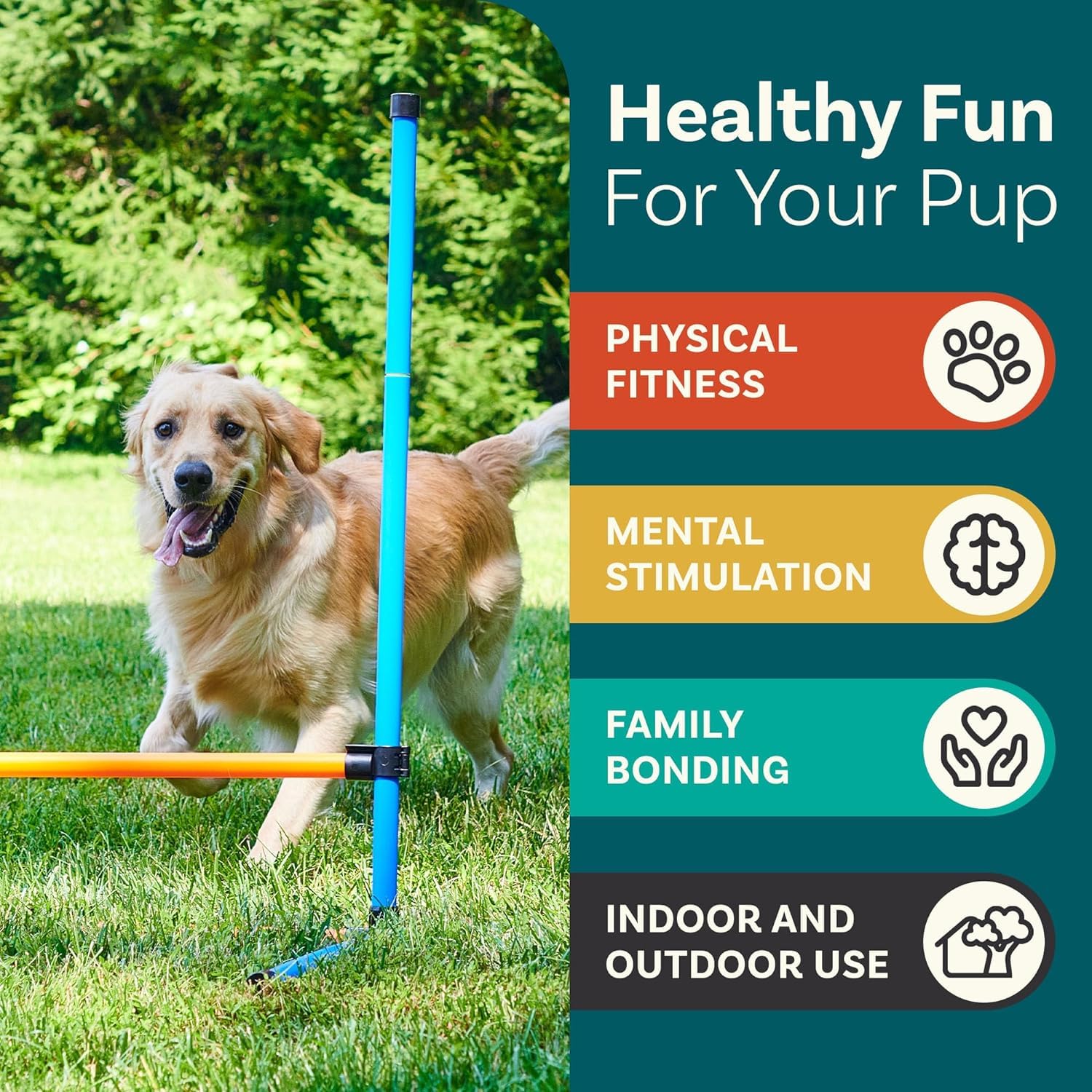 Premium Dog Agility Course Set for Backyard Training | Professional Dog Obstacle Equipment with Jumps | Perfect for Small & Large Dogs | Outdoor Pet Exercise & Competition Training