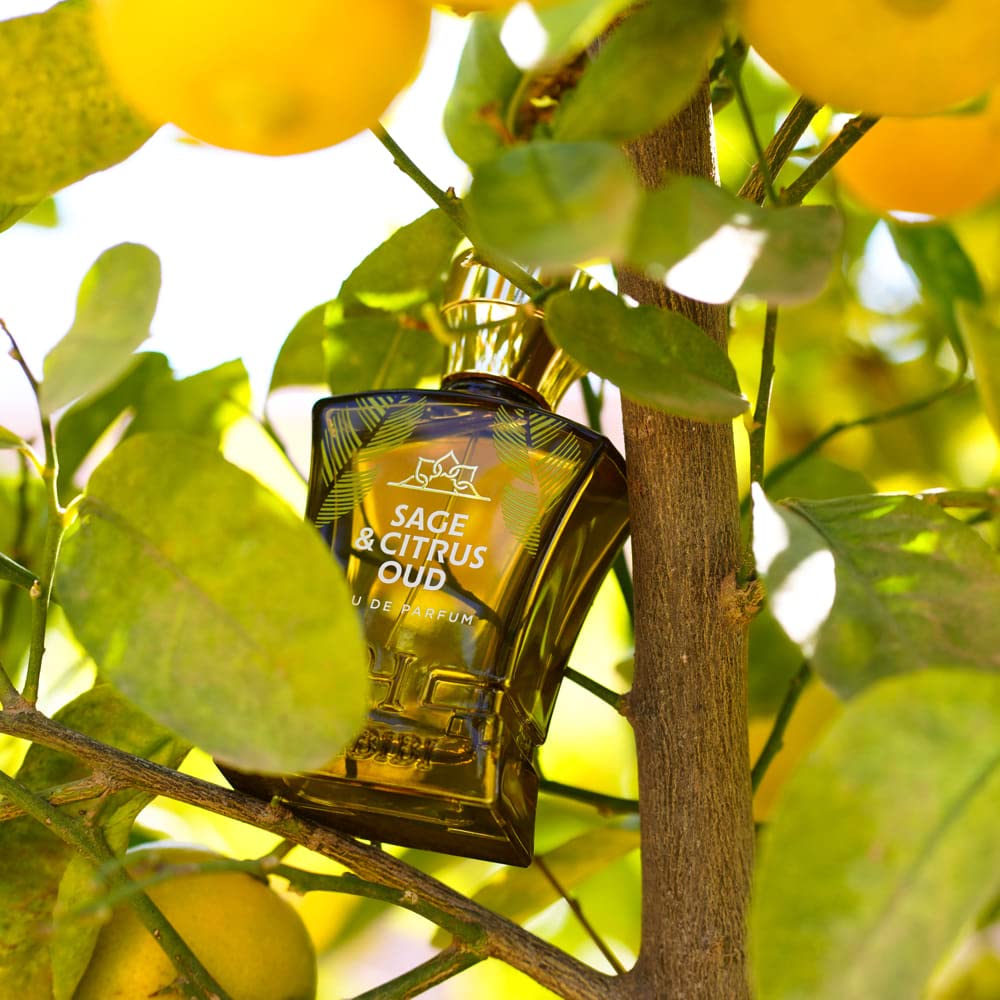 Premium Sage & Citrus Oud Arabian Cologne for Men - Fresh Woody Citrus Perfume with Sage, Oud & Patchouli - Long Lasting Eau de Parfum with Exotic Notes - Perfect for Daily Wear, Office & Special Occasions