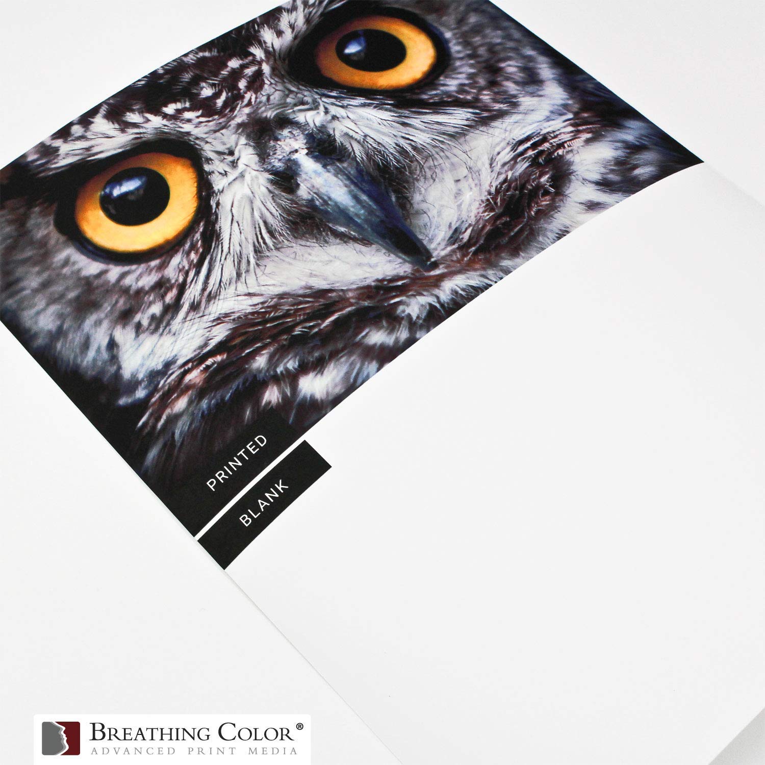 Premium Matte Photo Paper 4x6 Inches - 100 Sheets, 230 GSM, 12 Mil Thick - Vibrance Matte Inkjet Printer Paper Compatible with Epson, Canon, HP - Ideal for Photo Albums, Scrapbooking & Professional Printing