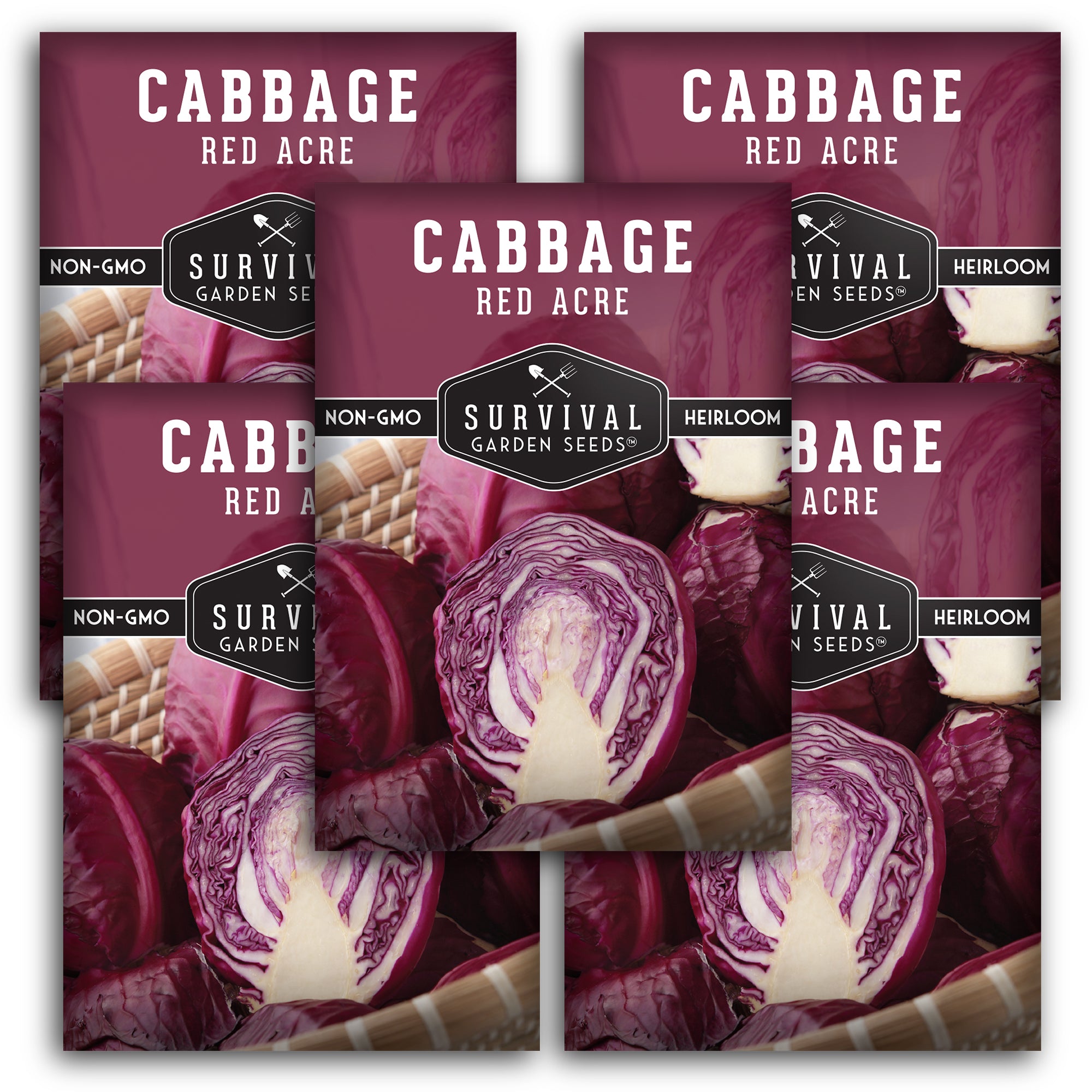 Organic Red Acre Cabbage Seeds for Planting - Non-GMO, Heirloom Variety - Perfect for Home Gardens, Container Growing & Fresh Salads