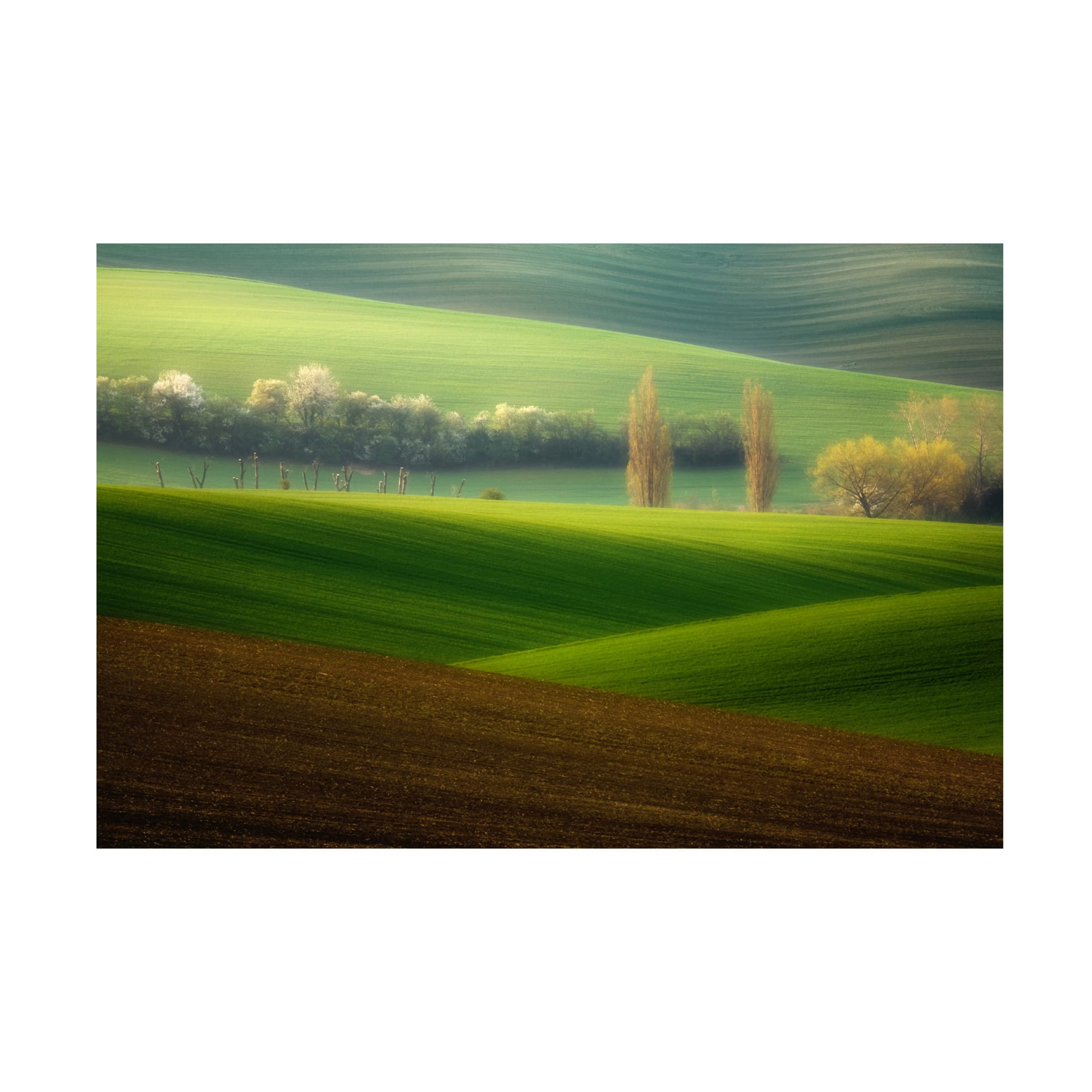 Trademark Fine Art 'Brothers' Canvas Wall Art Print by Krzysztof Browko - Modern Home Decor for Living Room, Bedroom & Office