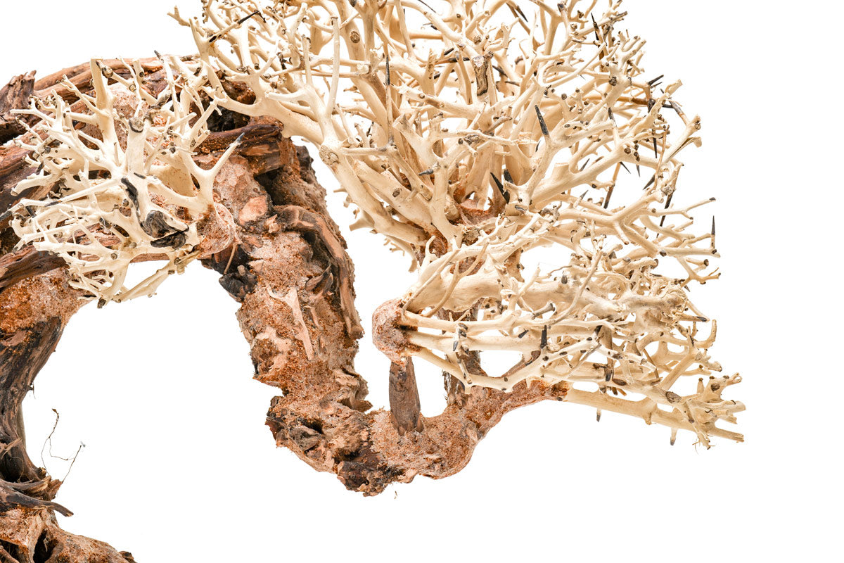 Premium Uns Bonsai 013 - High-Quality Artificial Bonsai Tree for Home & Office Decor | Perfect for Zen Gardens, Living Rooms, and Desk Decorations