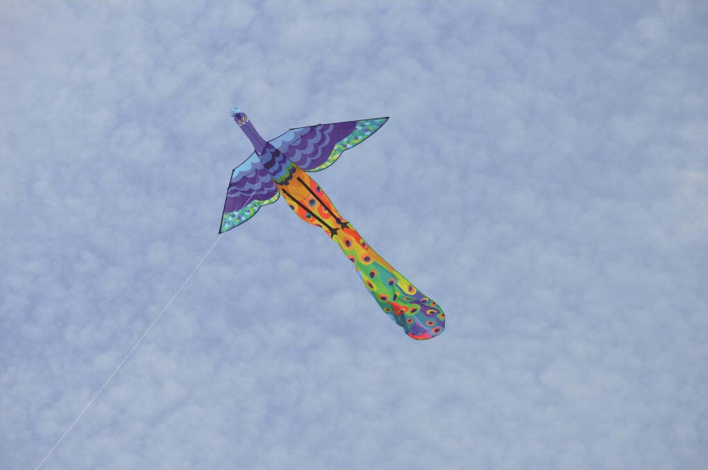 3D Peacock Kite - Colorful Flying Toy for Kids & Adults, Outdoor Beach Park Wind Play - Perfect for Family Fun, Picnics, and Beach Days