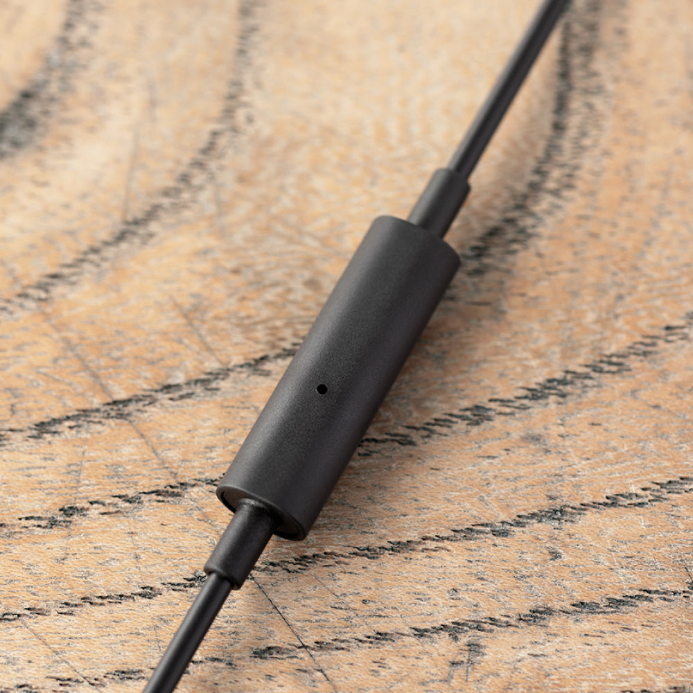 Final Audio E1000C Noise-Isolating In-Ear Earphones with Built-in Mic - Perfect for Commuting, Gaming & Phone Calls