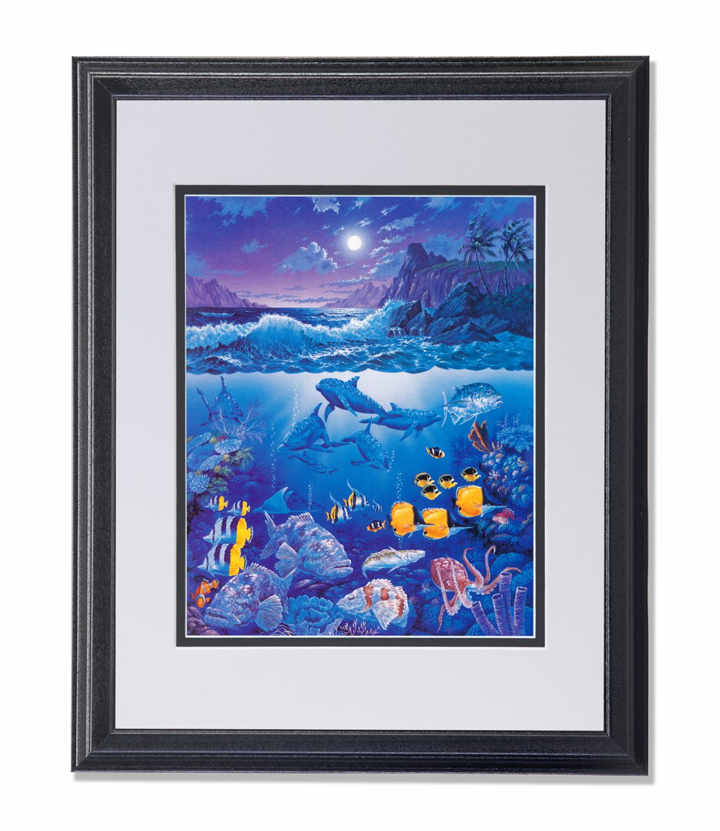 Tropical Ocean Fish Dolphins Shark Coral Reef Wall Art Print - Framed & Matted Underwater Scene Decor for Living Room, Bedroom, or Office