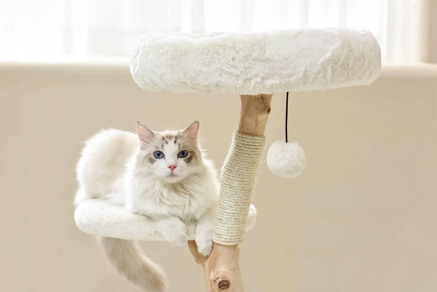 Premium Real Wood Cat Tree for Small Cats - Sturdy & Natural Climbing Perch for Kittens & Indoor Play - Perfect for Apartments & Small Spaces
