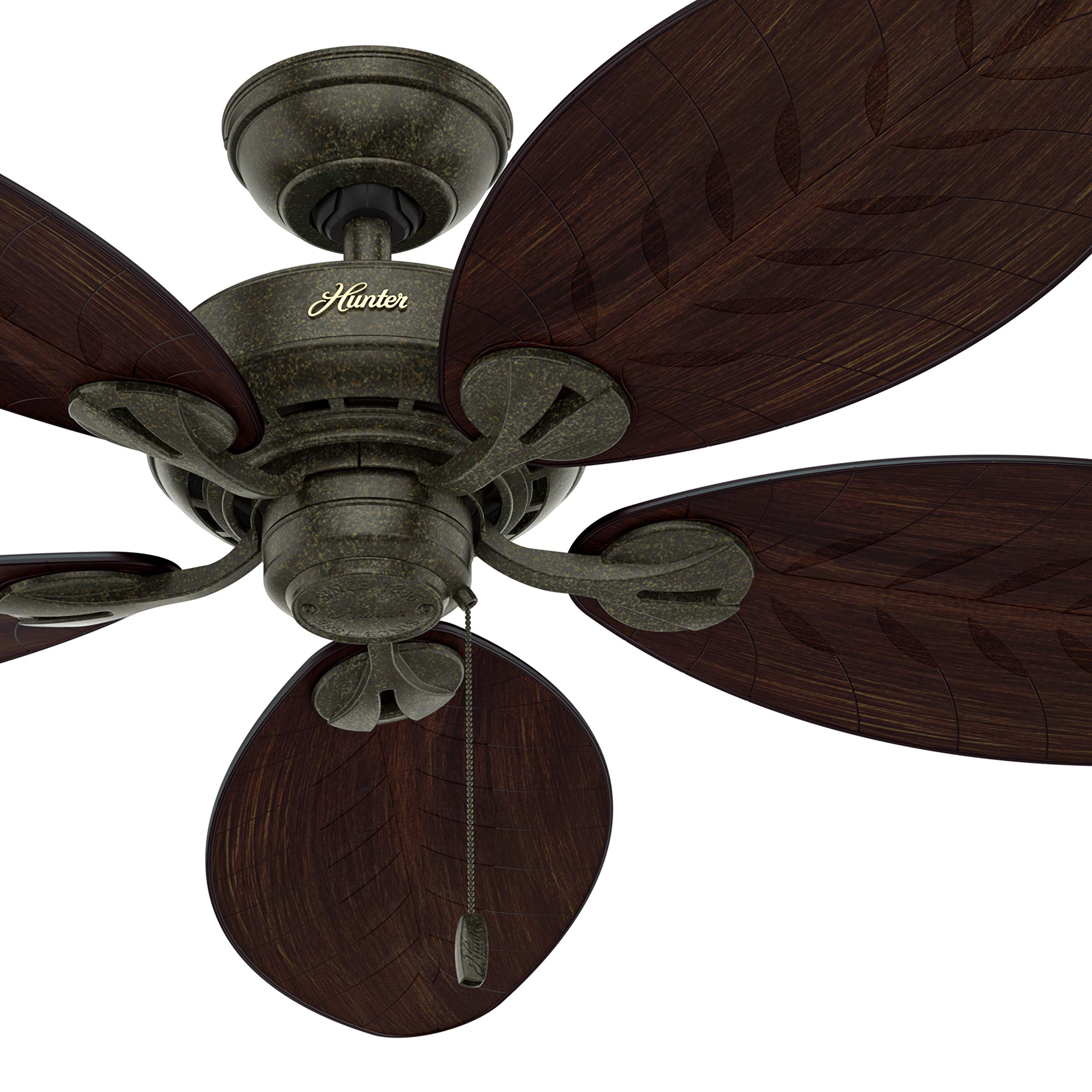 Hunter Fan 54 Inch Provencal Gold Outdoor Ceiling Fan with Pull Chain - Contemporary Style (Renewed) - Perfect for Patio, Deck, Gazebo and Outdoor Living Spaces