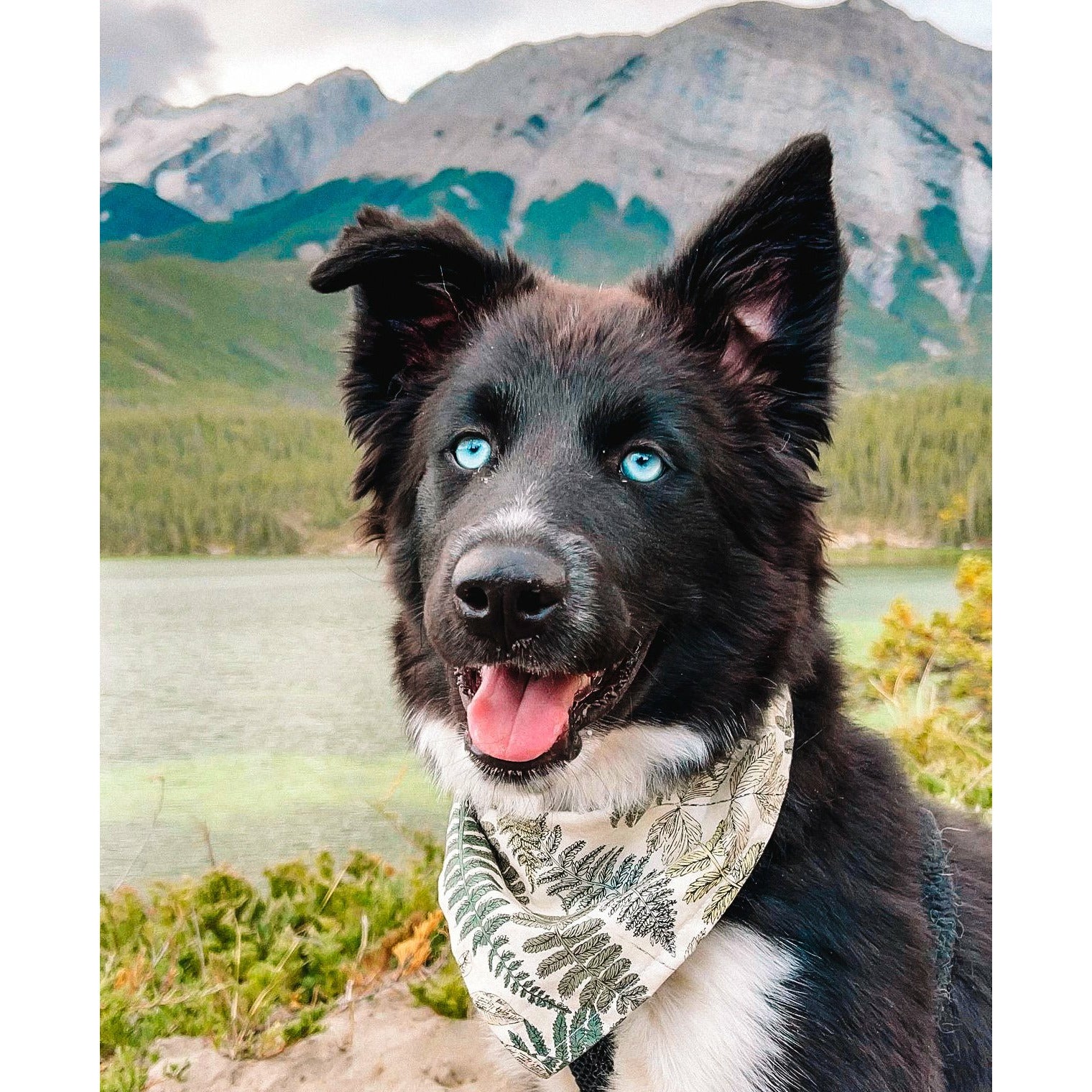 Vintage Fern Dog Bandana & Matching Mask Set - Adjustable Pet Bandana with Floral Print - Perfect for Dogs & Puppies - Great for Walks, Photos & Special Occasions