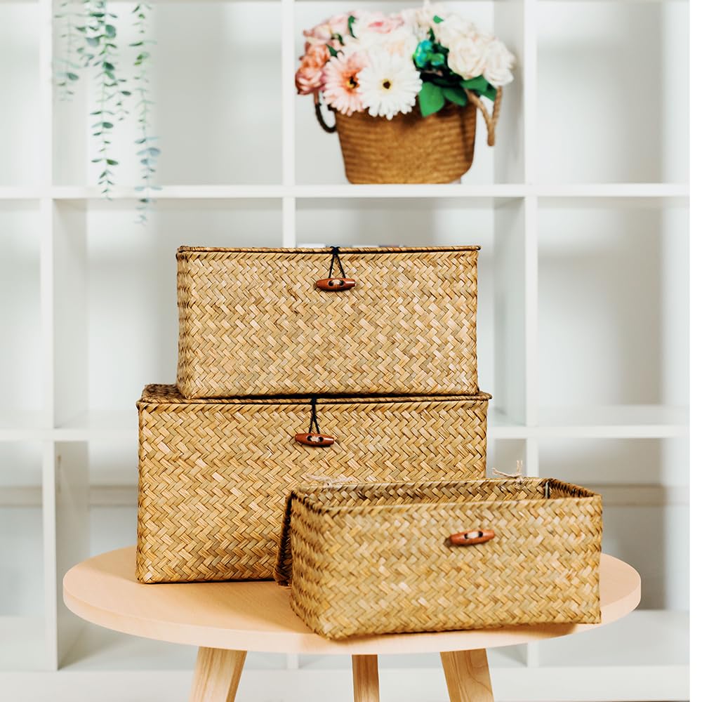 3 Pack Seagrass Storage Baskets with Lids - Natural Woven Rattan Organizing Bins for Shelves, Clothes & Hobby Supplies | Home Organization, Bedroom Closet & Living Room Decor