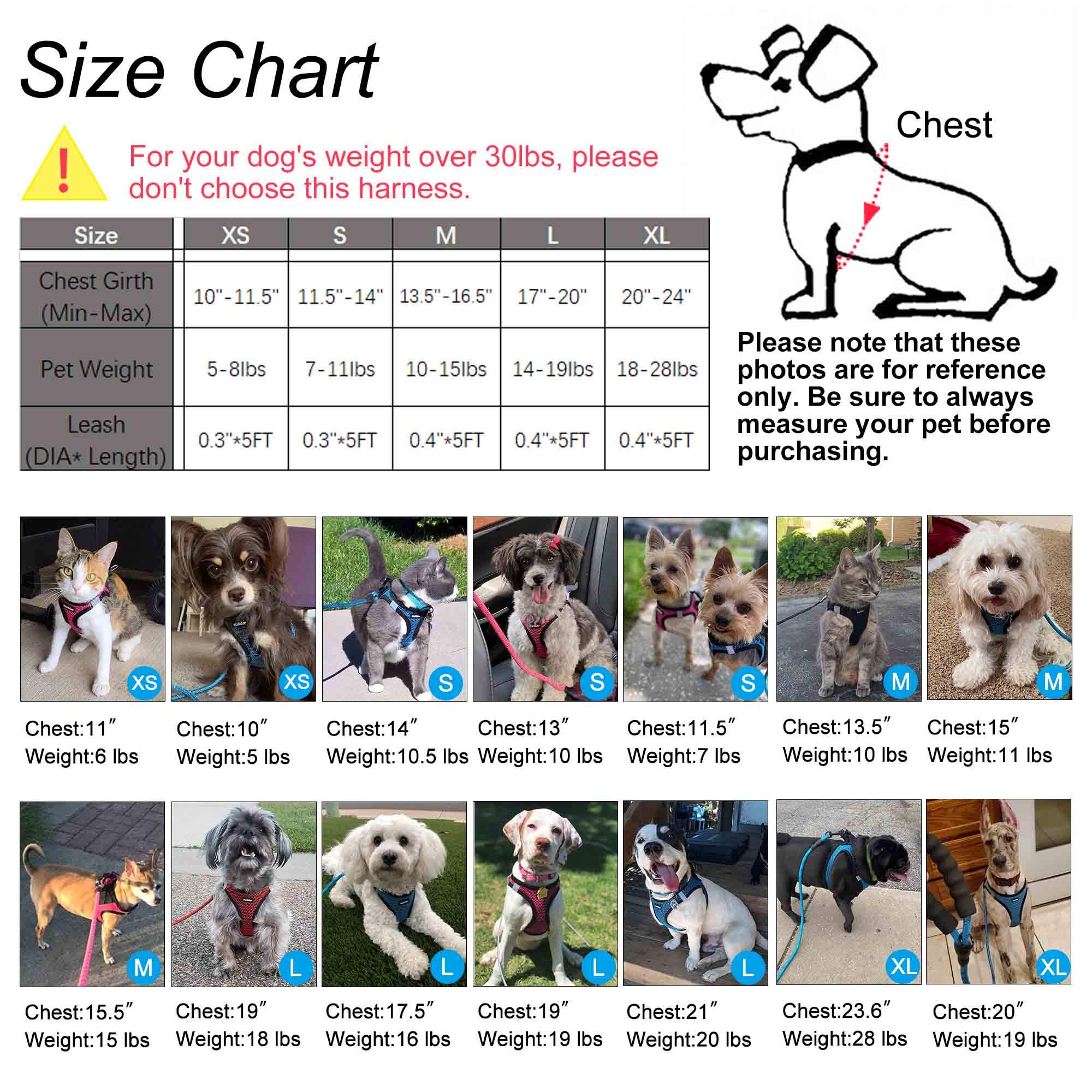 Breathable Step-in Dog Harness for Small & Medium Dogs - Comfortable Puppy & Cat Vest in Red | Perfect for Walking, Training & Outdoor Adventures