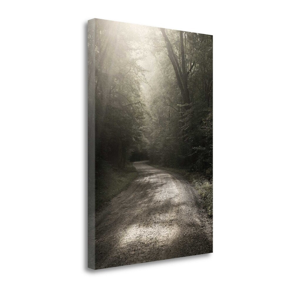 Back Country Road by Nicholas Bell - Fine Art Giclee Print on Gallery Wrap Canvas, Ready to Hang Wall Decor - Perfect for Living Room, Bedroom & Office