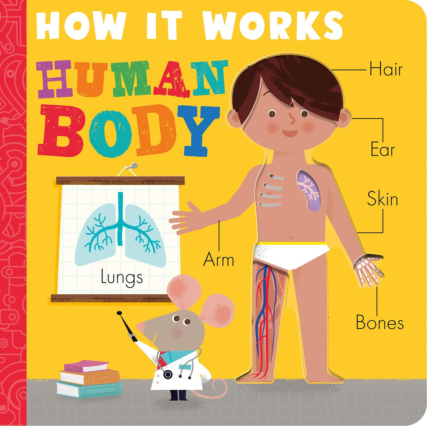 How the Human Body Works - Anatomy, Functions & Systems Explained | Educational Guide for Students & Teachers | Perfect for Classrooms & Homeschooling