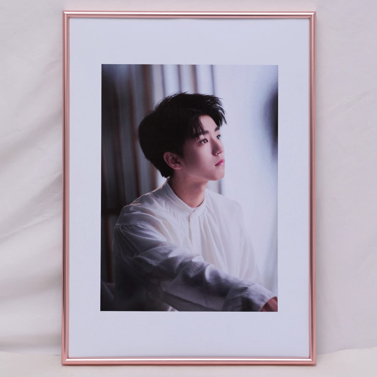 MEYYY Aluminum Metal Poster Frame 26.5x38cm - Rustproof Rose Gold Wall Mounted Picture Frame for Certificates, Photos & Artwork - Perfect for Home, Office & Gallery Displays