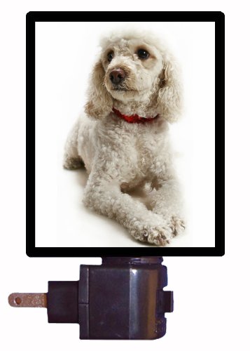 French Poodle LED Night Light for Dogs - Soft Glow Bedside Lamp for Puppy Safety & Comfort - Perfect for Bedrooms, Nurseries & Pet Rooms
