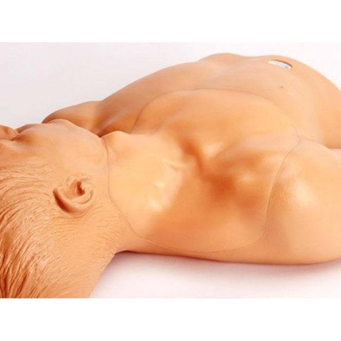 Gen II Ultrasound Central Line Training Model - Medical Simulation Kit for IV Insertion Practice - Perfect for Nursing Students, Doctors & Healthcare Professionals