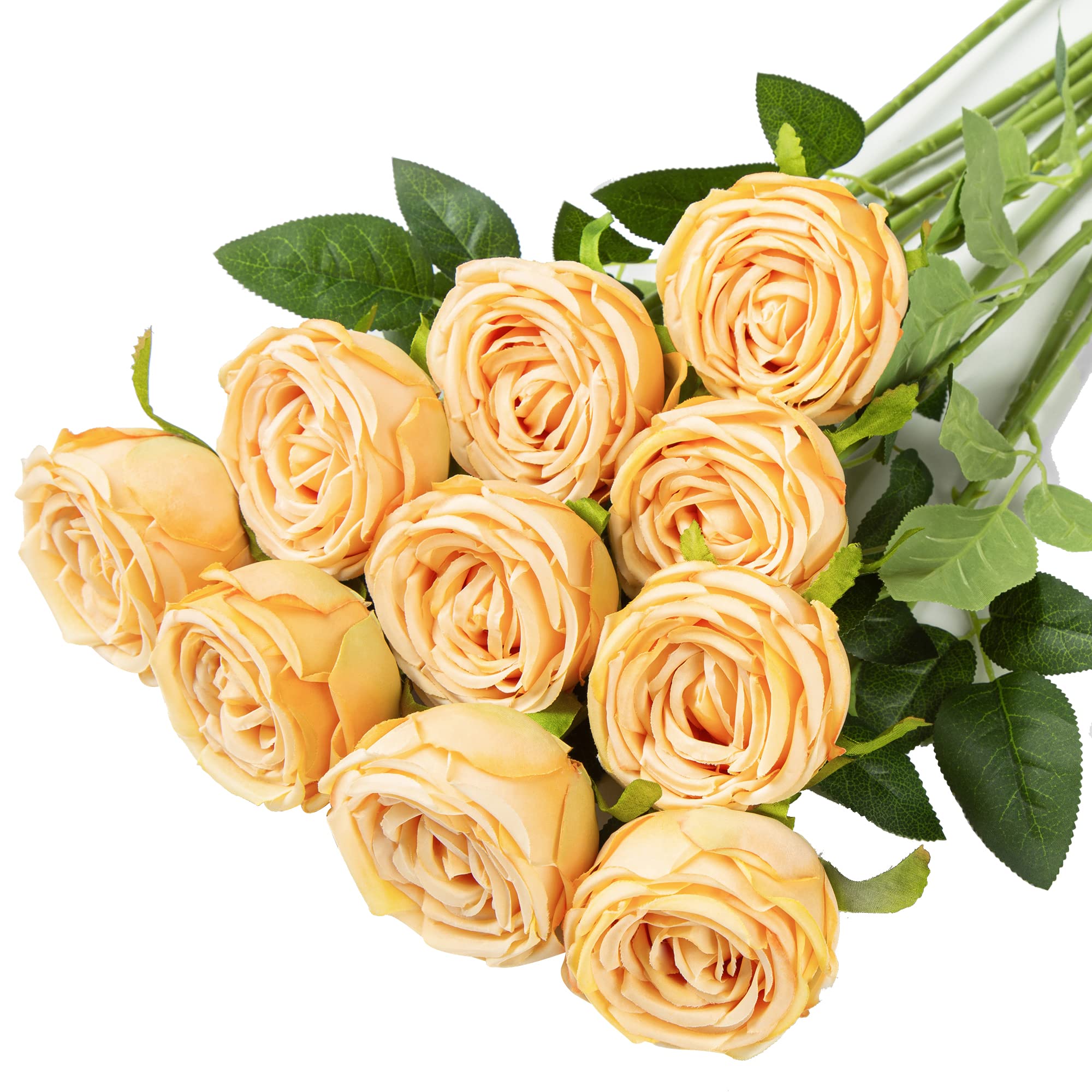 Artificial Silk Rose Flowers Long Stem - 10 Pack Champagne Melaleuca Roses for Wedding, Home Decor, Centerpieces & Party Arrangements
