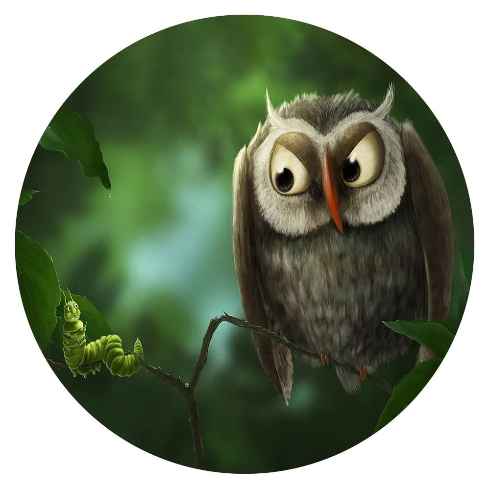 300 Piece Owl Animal Wall Art Puzzle - Round Wooden Jigsaw for Adults & Kids, Stress Relief & Educational Toy, Perfect for Family Game Night & Home Decor