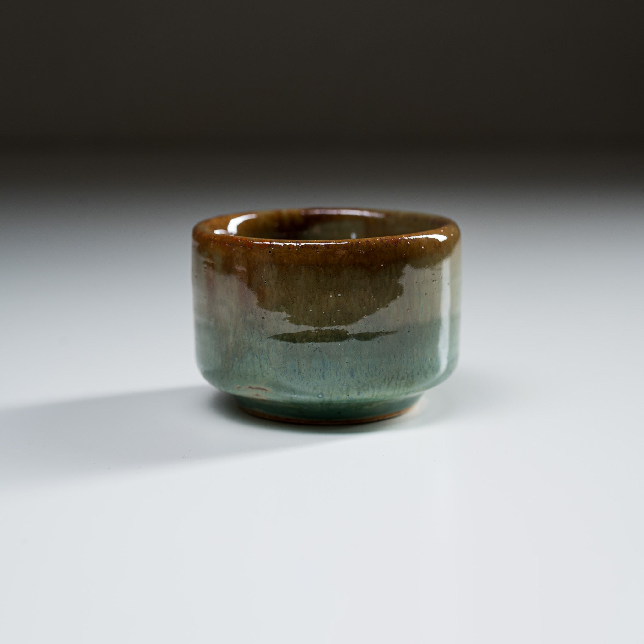 Handcrafted Mino Ware Pottery Sake Cup & Teacup - Traditional Japanese Ceramic Moss Design - Perfect for Sake Tasting, Tea Ceremonies & Home Decor