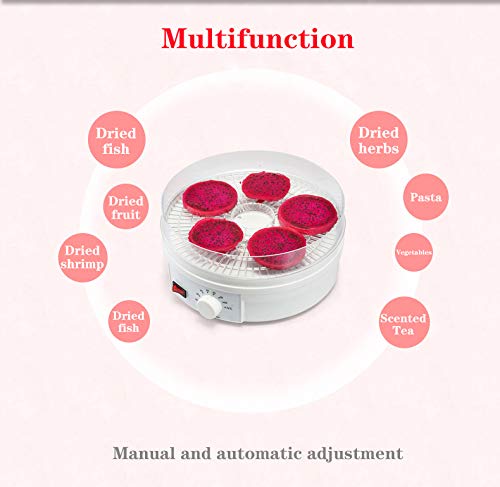 110V AnEssOil Food Dehydrator - Stainless Steel Electric Drying Machine for Fruits, Vegetables, Herbs & Meat | Healthy Snacks Maker for Home, Camping & Food Preservation